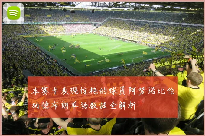 本赛季表现惊艳的球员阿努诺比伦纳德布朗单场数据全解析
